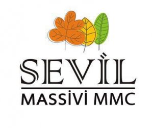Sevil Massivi rəhbərinin həbsi rəsmən təstiqləndi