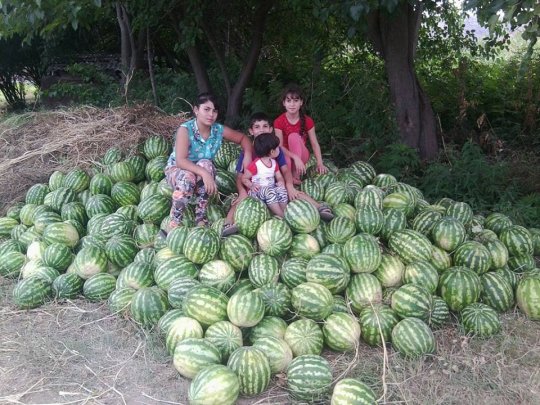 Erməni qızları Azərbaycan qarpızı satır
