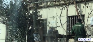 Qubadlının icra başçısının böyük biznesi üzə çıxdı