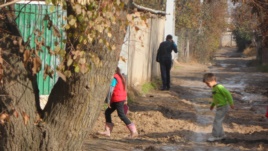 Tərtər icra başçısının ifşa olunan hesabatı
