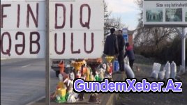Qəbələdə inək yola çıxanda sahibi cərimə olunur...