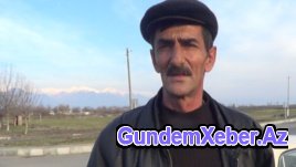 Qəbələdə inək yola çıxanda sahibi cərimə olunur...