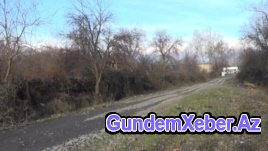 Qəbələdə inək yola çıxanda sahibi cərimə olunur...