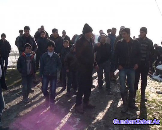 Dəhşət: Cəlilabadda canavar qoyunları parçaladı - Foto - Video