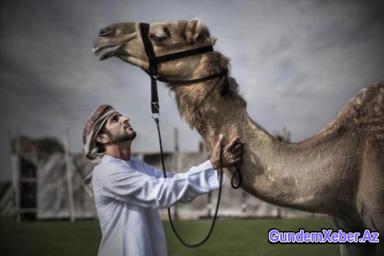 Dubay əmirinin azərbaycanlı gəlini kimdir?