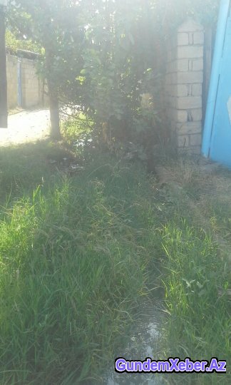 Yevlaxda idarə rəhbəri jurnalistə “xox” gəldi