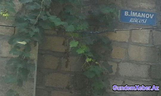 Yevlaxda idarə rəhbəri jurnalistə “xox” gəldi
