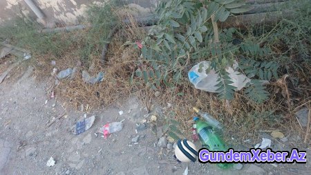 Qaradağ İcra Hakimiyyətinin bir addımlığında olan “zibil poliqon”u -FOTOLAR