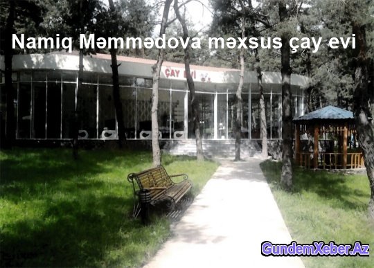 Əli Abdullayev danışarkən, Namiq Məmmədov niyə susub?