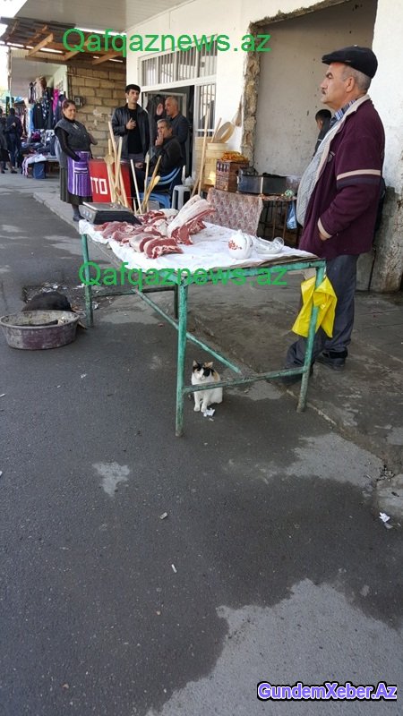 Göyçayın mərkəzindəki rəzalət nə vaxta qədər davam edəcək? FOTOLAR