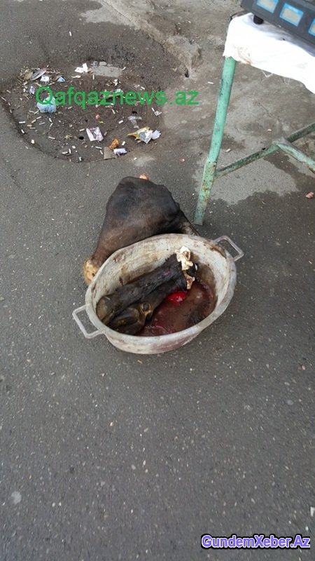 Göyçayın mərkəzindəki rəzalət nə vaxta qədər davam edəcək? FOTOLAR