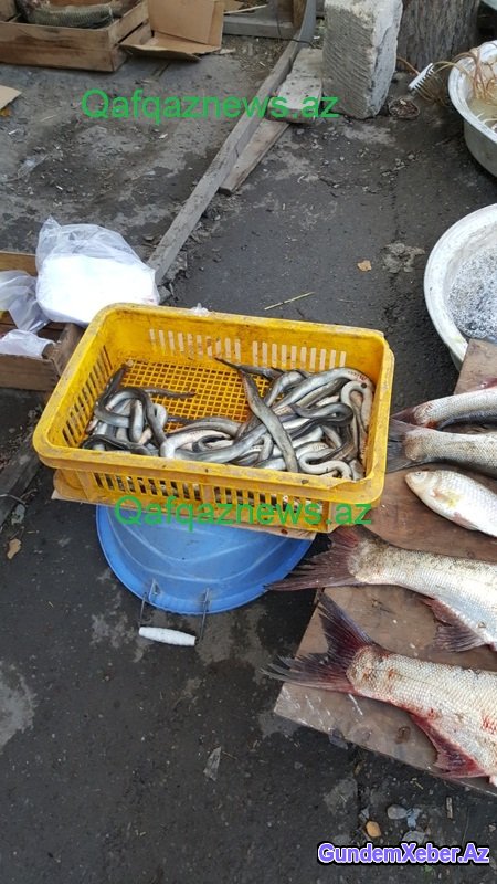 Göyçayın mərkəzindəki rəzalət nə vaxta qədər davam edəcək? FOTOLAR