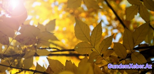 Sabahın hava proqnozu - Temperatur qalxır