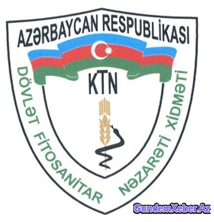Prezidentin “reketlik edilib” bəyanatı kimlərə ünvanlanıb?