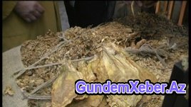 Azərbaycanda siqaretin sürətlə bahalaşmasının səbəbləri...
