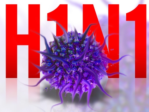 Gürcüstanda əsgər H1N1 virusundan ölüb