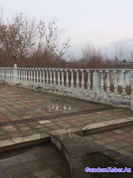 Heydər Parkını hansı icra başçısı satışa çıxarıb?