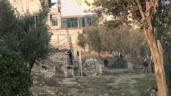 Xaləddin İsgəndərov  Heydər məscidinin ətrafındakı zeytun bağlarına qənim kəsilib