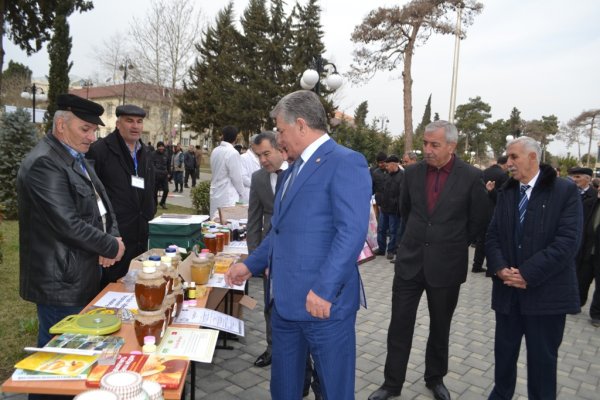 Biləsuvar rayonunda 2015-ci ilin sosial-iqtisadi inkişafının yekunları və qarşıda duran vəzifələrə həsr olunmuş hesabat yığıncağı keçirildi.