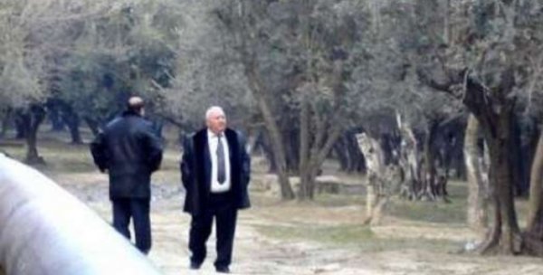 Tikinti şirkətləri, yoxsa cinayət çetesi?