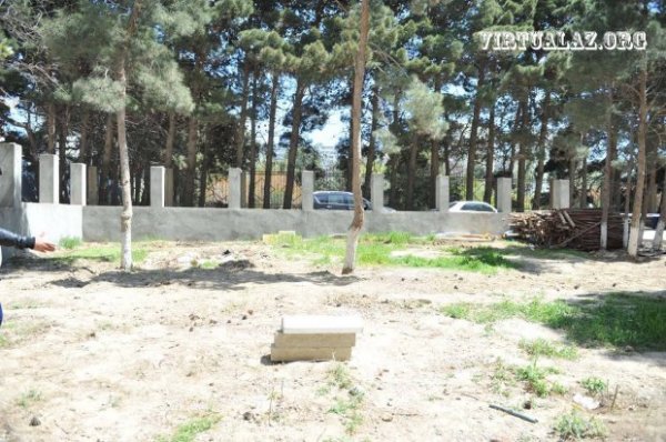 Eldar Mahmudovun ölkədən didərgin saldığı biznesmen qayıtdı, ağacları qırmağa başladı
