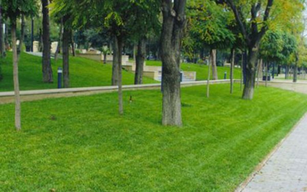 Hacıbala Abutalıbov park çəmənliklərdə oturmağı qadağan etdi- QƏRAR