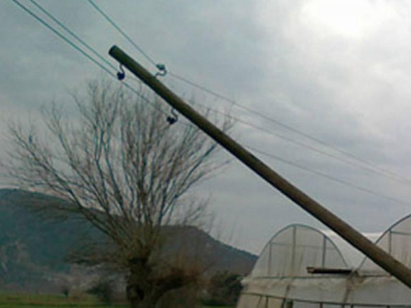 Güclü külək Zaqatalanı işıqsız qoydu - Elektrik dirəkləri aşdı