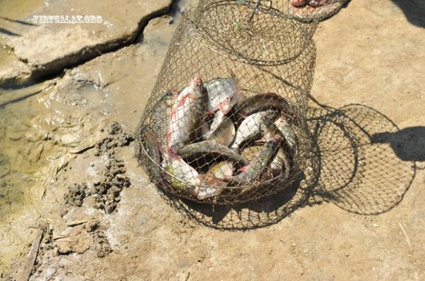 Bakının zəhər gölü: “Binə” və “Sədərək” təhlükə altında...