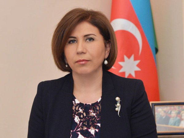 Bahar Muradova: "Azərbaycan demokratik dövlətlərin uzun illər əldə etdiyi uğurlara qısa müddətdə nail olub"