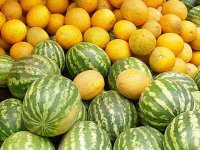 Buz kimi qarpız, bal kimi yemiş