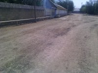 Zərdabda "əjdahalar" peyda olub