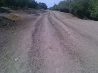 Zərdabda "əjdahalar" peyda olub