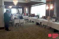 ABŞ-ın "Artur J.Finkelsteinand Associates” şirkəti referendumla əlaqədar informasiya mərkəzi yaradıb