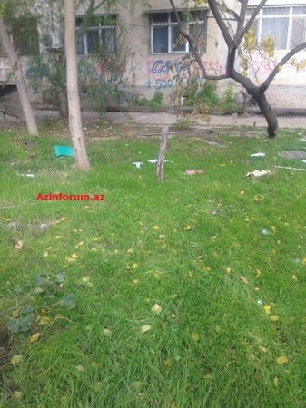 İCRA HAKİMİYYƏTİ KEÇMİŞ POLİSİ NECƏ ALDADIB? –  “RAZİN”DƏ AĞACLARI KƏSİB, YERİ İŞ ADAMINA SATIBLAR (FOTO)