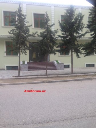 İCRA HAKİMİYYƏTİ KEÇMİŞ POLİSİ NECƏ ALDADIB? –  “RAZİN”DƏ AĞACLARI KƏSİB, YERİ İŞ ADAMINA SATIBLAR (FOTO)