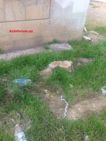 İCRA HAKİMİYYƏTİ KEÇMİŞ POLİSİ NECƏ ALDADIB? –  “RAZİN”DƏ AĞACLARI KƏSİB, YERİ İŞ ADAMINA SATIBLAR (FOTO)