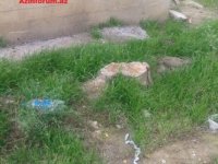 İCRA HAKİMİYYƏTİ KEÇMİŞ POLİSİ NECƏ ALDADIB? –  “RAZİN”DƏ AĞACLARI KƏSİB, YERİ İŞ ADAMINA SATIBLAR (FOTO)