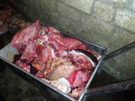 At cəmdəkləri və bir tondan artıq yararsız ət aşkarlandı - FOTO At cəmdəkləri və bir tondan artıq yararsız ət aşkarlandı - FOTO
