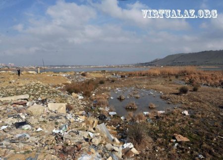 “Kim çirkabın içində yaşamaq istəyər ki? Ayrı çarəmiz yoxdur...”