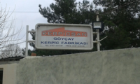 Azərbaycanda nurçuları himayə edən məmurların marağı nədir?