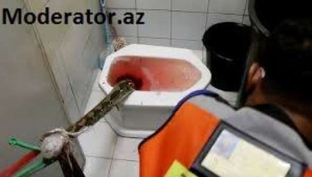 “Unitazda oturanda cinsi orqanımda dəhşətli ağrı hiss etdim” - Piton sancdı...