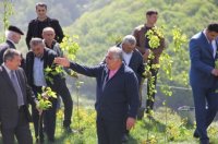 Daşkəsəndə may ayının 10-da Ulu öndər Heydər Əliyevin anadan olmasının 94-cü ildönümü münasibətilə ümumrayon ağacəkmə iməciliyi keçirilmişdir