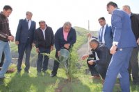 Daşkəsəndə may ayının 10-da Ulu öndər Heydər Əliyevin anadan olmasının 94-cü ildönümü münasibətilə ümumrayon ağacəkmə iməciliyi keçirilmişdir