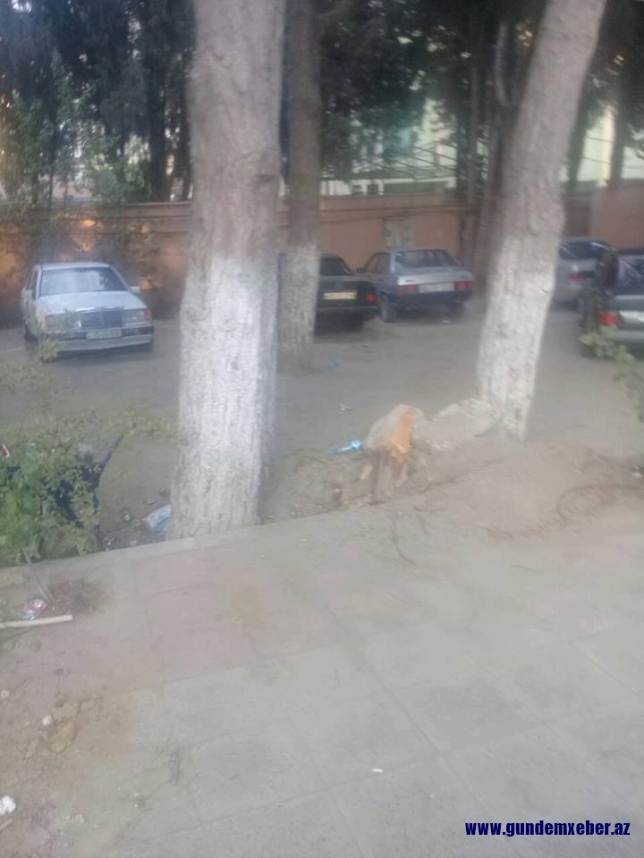 Talan edilmiş Nəsimi rayonu - FOTOFAKT