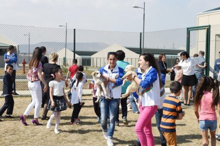 Heydər Əliyev Fondunun vitse-prezidenti Leyla Əliyeva IDEA Heyvanlara Qayğı Mərkəzində sağlamlıq imkanları məhdud uşaqlar üçün təşkil edilən tədbirdə iştirak edib - FOTO