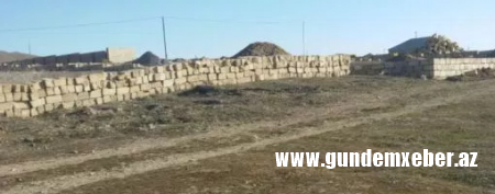 İtə toy edənin qardaşı problem yaradır