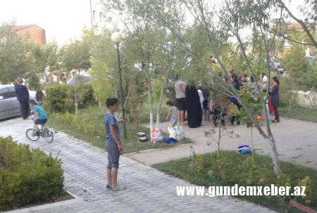 Məcburi köçkünlərə qənim kəsilən məmurların müdhiş əməlləri