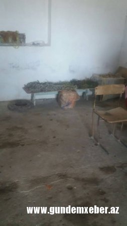 Qızıldaşda baltası özündən yekə satıcı