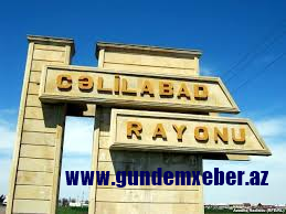 Cəlilabadlı dostların oğurluq palanları