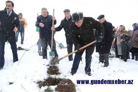 "HƏRƏYƏ BİR AĞAC ƏKƏK" - DAŞKƏSƏNDƏ YENİ AZƏRBAYCAN PARTİYASININ (YAP) YARADILMASININ 25 İLLİK YUBİLEYİ MÜNASİBƏTİLƏ AĞACƏKMƏ KAMPANİYASINA 23 NOYABRDA BAŞLANILDI